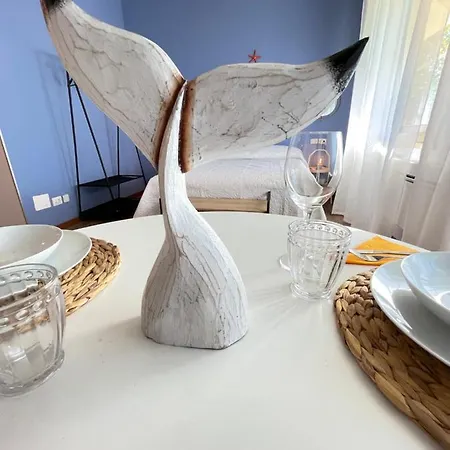 Confortable Studio Central Appartement